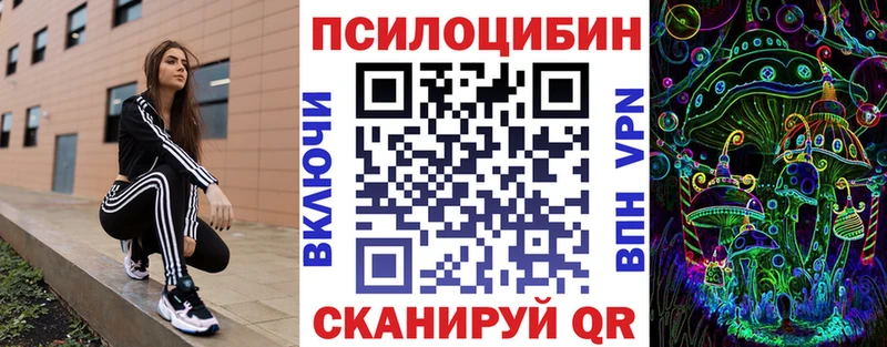 наркошоп  Орлов  Галлюциногенные грибы Psilocybine cubensis 